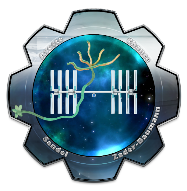 2024 Series Winners patch